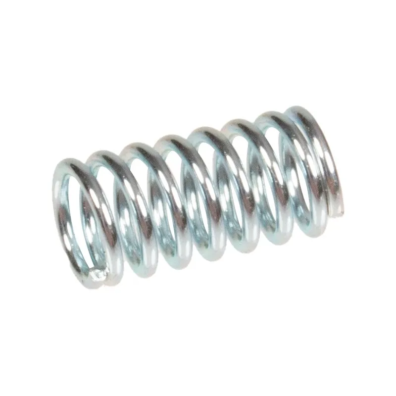 Sprężyna Cedrus wertykulator CEDWR02R