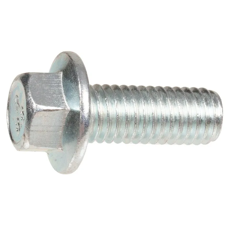 Śruba Cedrus wertykulator CEDWR02R Śruba Cedrus wertykulator CEDWR02R