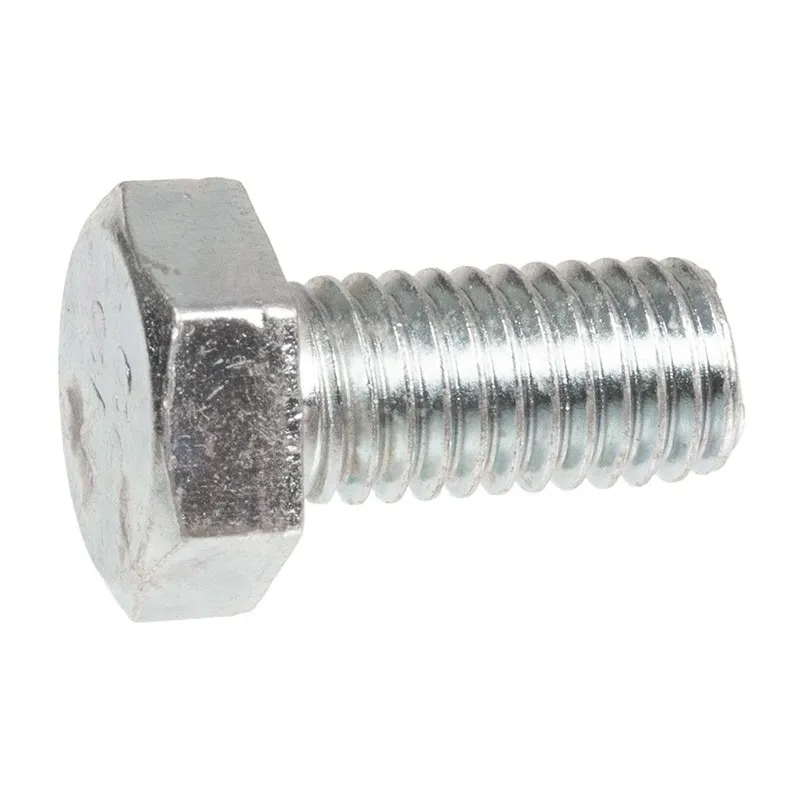 Śruba Cedrus wertykulator CEDWR02R Śruba Cedrus wertykulator CEDWR02R