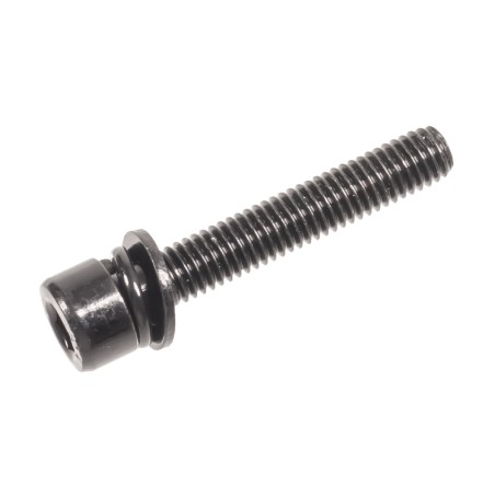 Śruba karteru Cedrus CED305 SW01