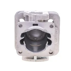 Cylinder Cedrus wykaszarka CED305