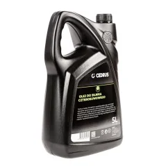 Olej CEDRUS 10W30 5 L