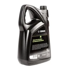 Olej CEDRUS 10W30 5 L