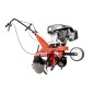 Glebogryzarka Loncin 1WG2.2-36FQ-DA - Najlepsza oferta Glebogryzarka Loncin 1WG2.2-36FQ-DA - Najlepsza oferta