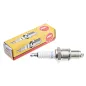 NGK BPR7ES Spark Plug for Loncin