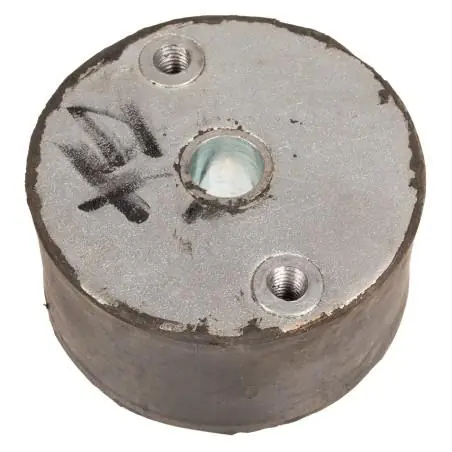 Amortyzator CEDRUS stopa ST01