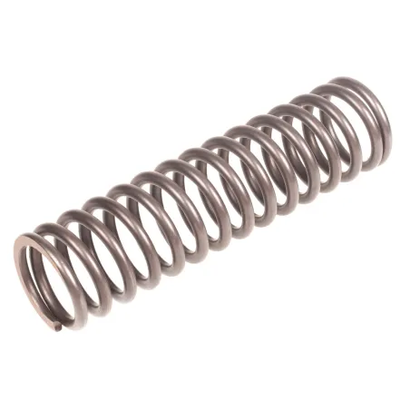 Sprężyna CEDRUS mała stopa ST01