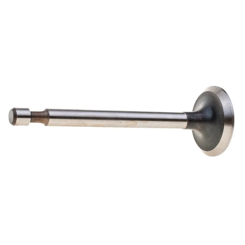 Zawór ssący Robin EY20 Zawór ssący Robin EY20