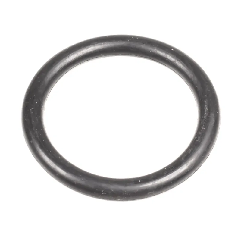 Oring regulatora Cedrus zagęszczarka CEDZG03