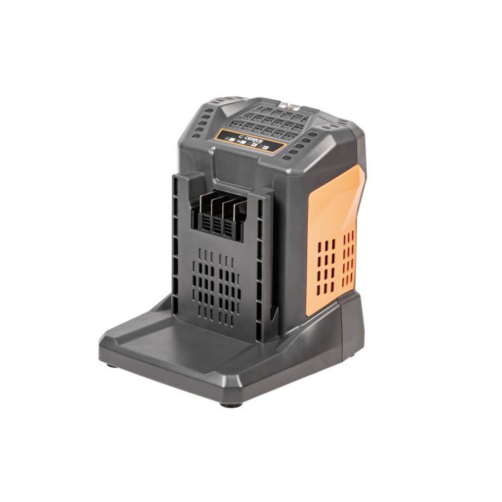 Ładowarka szybka baterii Cedrus 5,5A 60V CHB5.5 Ładowarka szybka baterii Cedrus 5,5A 60V CHB5.5