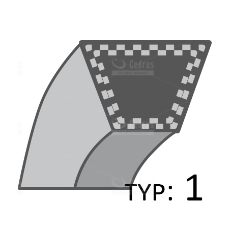 Pasek napędu jazdy Cedrus traktorek spalinowy C-TRAC-92HC C-TRAC-98HS C-TRAC-102HC