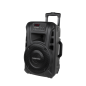 Aktywna kolumna głośnikowa (z 2 mikrofonami bezprzewodowymi UHF, SD, Bluetooth, FM, USB) 20 Watt