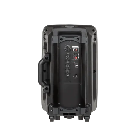Aktywna kolumna głośnikowa (z 2 mikrofonami bezprzewodowymi UHF, SD, Bluetooth, FM, USB) 20 Watt