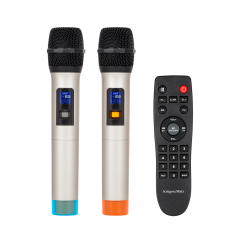 Aktywna kolumna głośnikowa (z 2 mikrofonami bezprzewodowymi UHF, SD, Bluetooth, FM, USB) 20 Watt