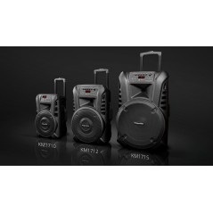 Aktywna kolumna głośnikowa (z 2 mikrofonami bezprzewodowymi UHF, SD, Bluetooth, FM, USB) 20 Watt
