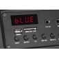 Aktywna kolumna głośnikowa (z 2 mikrofonami bezprzewodowymi UHF, SD, Bluetooth, FM, USB) 20 Watt