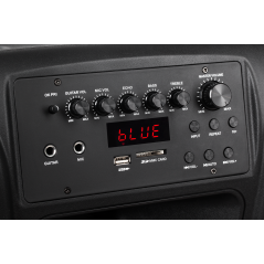 Aktywna kolumna głośnikowa (z 2 mikrofonami bezprzewodowymi UHF, SD, Bluetooth, FM, USB) 40 Watt