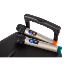Aktywna kolumna głośnikowa (z 2 mikrofonami bezprzewodowymi UHF, SD, Bluetooth, FM, USB) 40 Watt