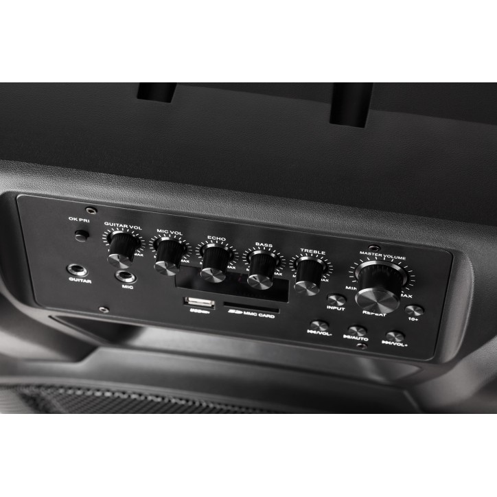 Aktywna kolumna głośnikowa (z 2 mikrofonami bezprzewodowymi UHF, SD, Bluetooth, FM, USB) 40 Watt Aktywna kolumna głośnikowa (z 2 mikrofonami bezprzewodowymi UHF, SD, Bluetooth, FM, USB) 40 Watt
