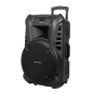 Aktywna kolumna głośnikowa (z 2 mikrofonami bezprzewodowymi UHF, SD, Bluetooth, FM, USB) 60 Watt Aktywna kolumna głośnikowa (z 2 mikrofonami bezprzewodowymi UHF, SD, Bluetooth, FM, USB) 60 Watt
