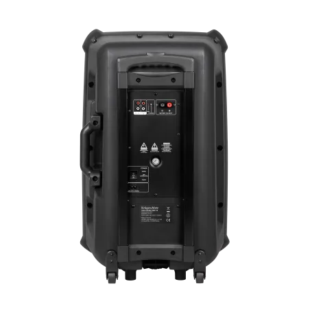 Aktywna kolumna głośnikowa (z 2 mikrofonami bezprzewodowymi UHF, SD, Bluetooth, FM, USB) 60 Watt