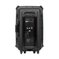 Aktywna kolumna głośnikowa (z 2 mikrofonami bezprzewodowymi UHF, SD, Bluetooth, FM, USB) 60 Watt Aktywna kolumna głośnikowa (z 2 mikrofonami bezprzewodowymi UHF, SD, Bluetooth, FM, USB) 60 Watt