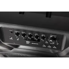 Aktywna kolumna głośnikowa (z 2 mikrofonami bezprzewodowymi UHF, SD, Bluetooth, FM, USB) 60 Watt