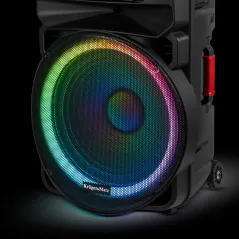 Aktywna kolumna głośnikowa (z 2 mikrofonami bezprzewodowymi UHF, SD, Bluetooth, FM, USB, LED) 60 Watt