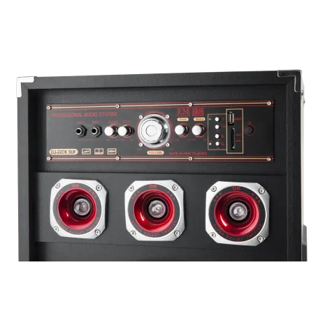 Aktywne kolumny głośnikowe Intex DJ-220K SUF
