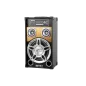 Aktywne kolumny głośnikowe Intex DJ-801 Aktywne kolumny głośnikowe Intex DJ-801