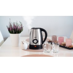 Czajnik elektryczny z wskaźnikiem temperatury wody, TEESA, stal nierdzewna, 2200W, 1,7L