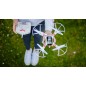 Dron Rebel DOVE WIFI