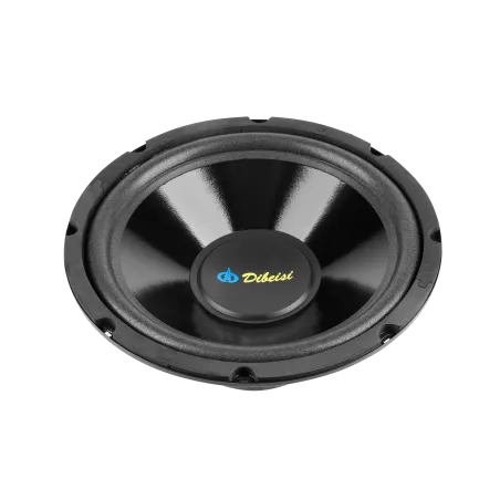 Głośnik 10" DBS-G1002 8 Ohm