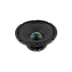 Głośnik 10" DBS-PS1005-8