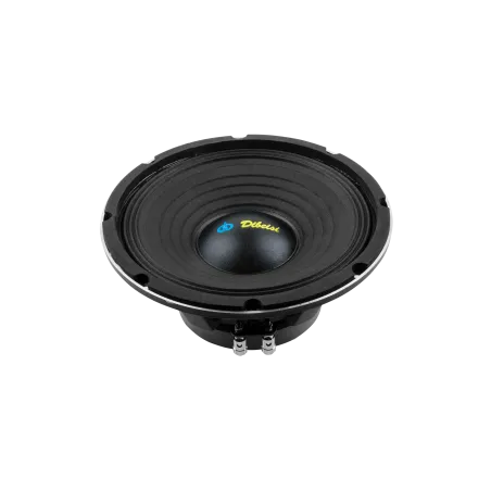 Głośnik 10" DBS-PS1005-8