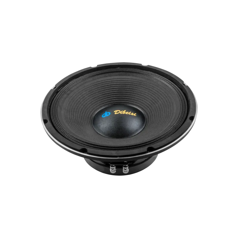 Głośnik 12" DBS-PS1205-8