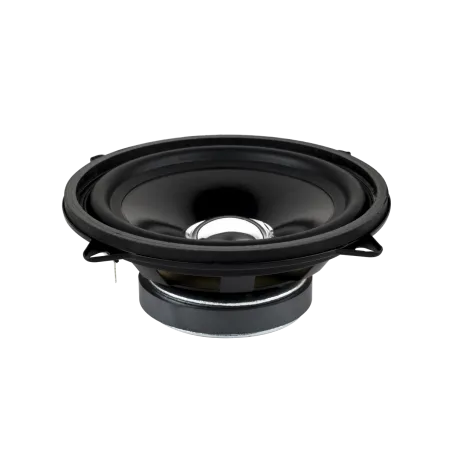 Głośnik 5" DBS-G1301 4 Ohm (z uszami)