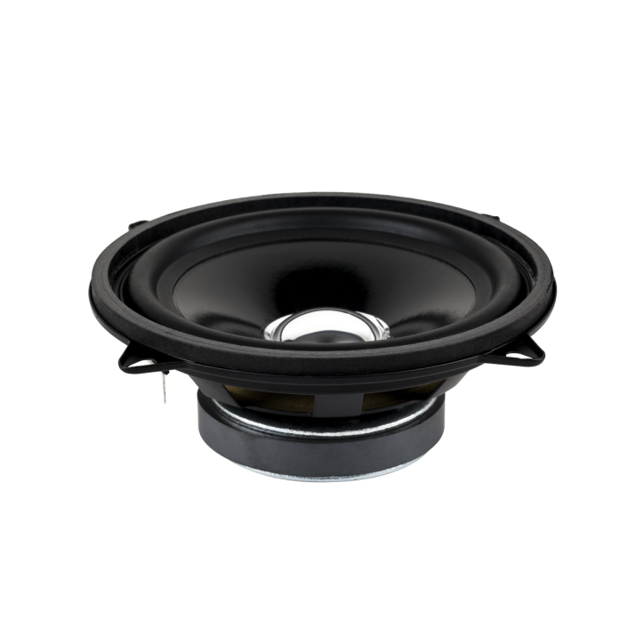 Głośnik 5" DBS-G1301 8 Ohm (z uszami) Głośnik 5" DBS-G1301 8 Ohm (z uszami)