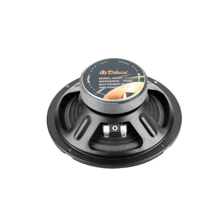Głośnik 6,5" DBS-G6501 8 Ohm Głośnik 6,5" DBS-G6501 8 Ohm