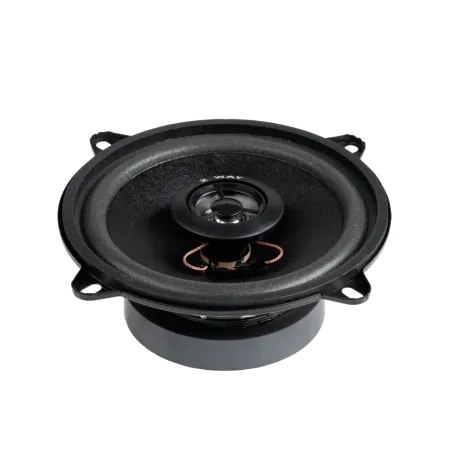 Głośnik sam.5"/2WAY/100W WS-1312TW