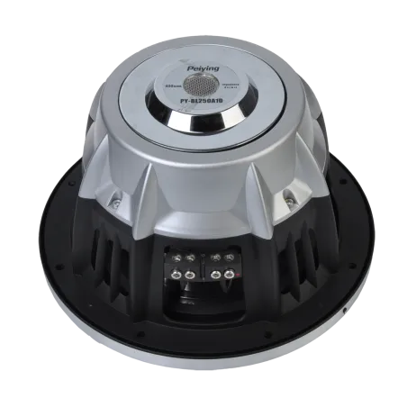 Głośnik samochodowy subwoofer PY-BL250A10 10"