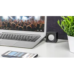 Głośniki komputerowe 2.0 Rebel CS-10