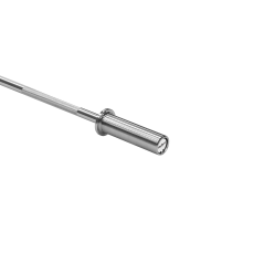 Gryf olimpijski prosty z łożyskami, sztanga olimpijska z łożyskami 120cm 9kg REBEL ACTIVE