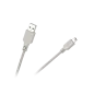 Kabel USB AM-BM mini USB do CANONA 1.5M+ filtr