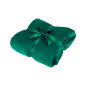 Koc polarowy 200x220 cm TEESA - zielony Koc polarowy 200x220 cm TEESA - zielony