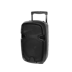 Kolumna aktywna ( z 2 mikrofonami bezprzewodowymi, SD, Bluetooth, USB) 10" 20W