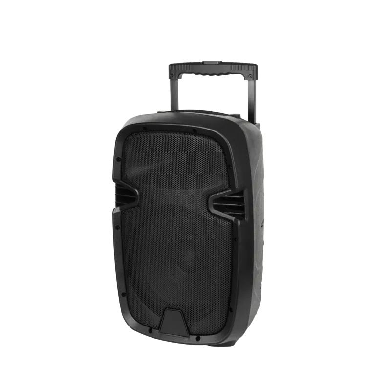 Kolumna aktywna ( z 2 mikrofonami bezprzewodowymi, SD, Bluetooth, USB) 10" 20W Kolumna aktywna ( z 2 mikrofonami bezprzewodowymi, SD, Bluetooth, USB) 10" 20W