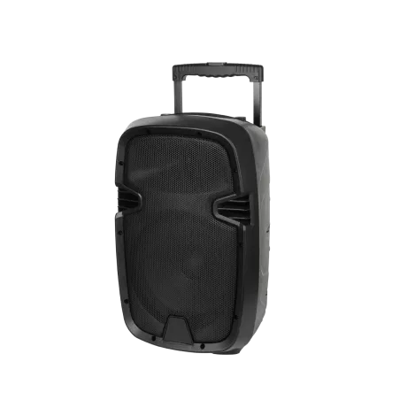 Kolumna aktywna ( z 2 mikrofonami bezprzewodowymi, SD, Bluetooth, USB) 10" 20W