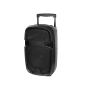 Kolumna aktywna ( z 2 mikrofonami bezprzewodowymi, SD, Bluetooth, USB) 10" 20W
