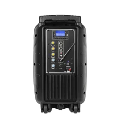 Kolumna aktywna ( z 2 mikrofonami bezprzewodowymi, SD, Bluetooth, USB) 10" 20W